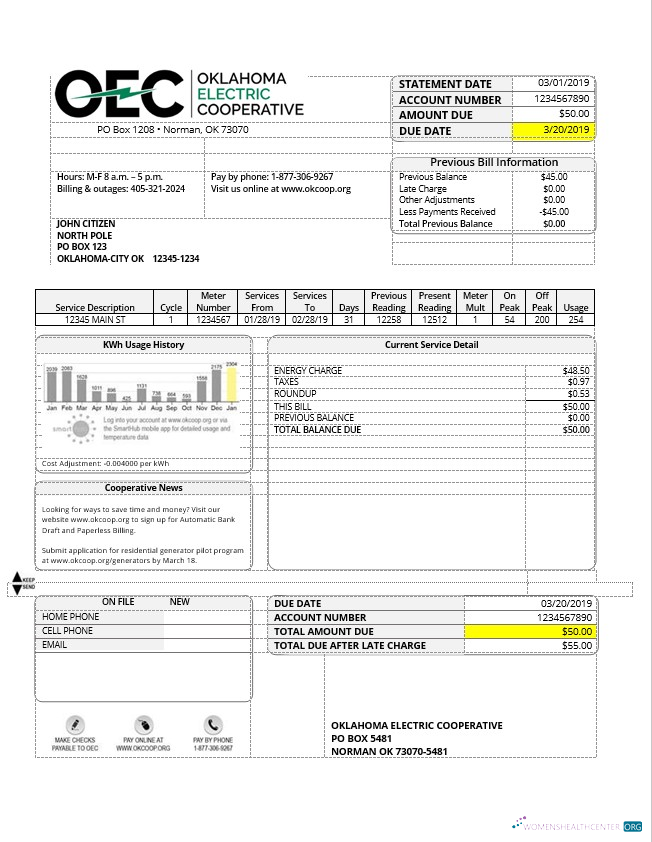 download download USA OEC electricity utility bill template in Word and PDF format PDF template PDF template